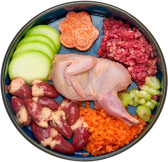 Schale mit Canefelis Futter und ausgewählten Zutaten